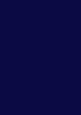 Henna Dress - Navy